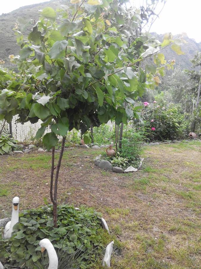 Villa Piano Mtsʼkhetʼa Exterior foto